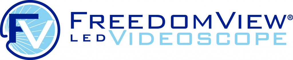 Logo Free Dom View
